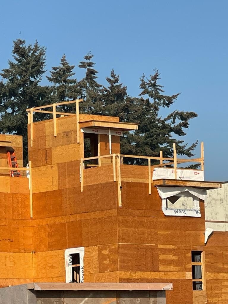 Multi-level wood-framed exterior walls sheathed with structural panels around window and door openings.