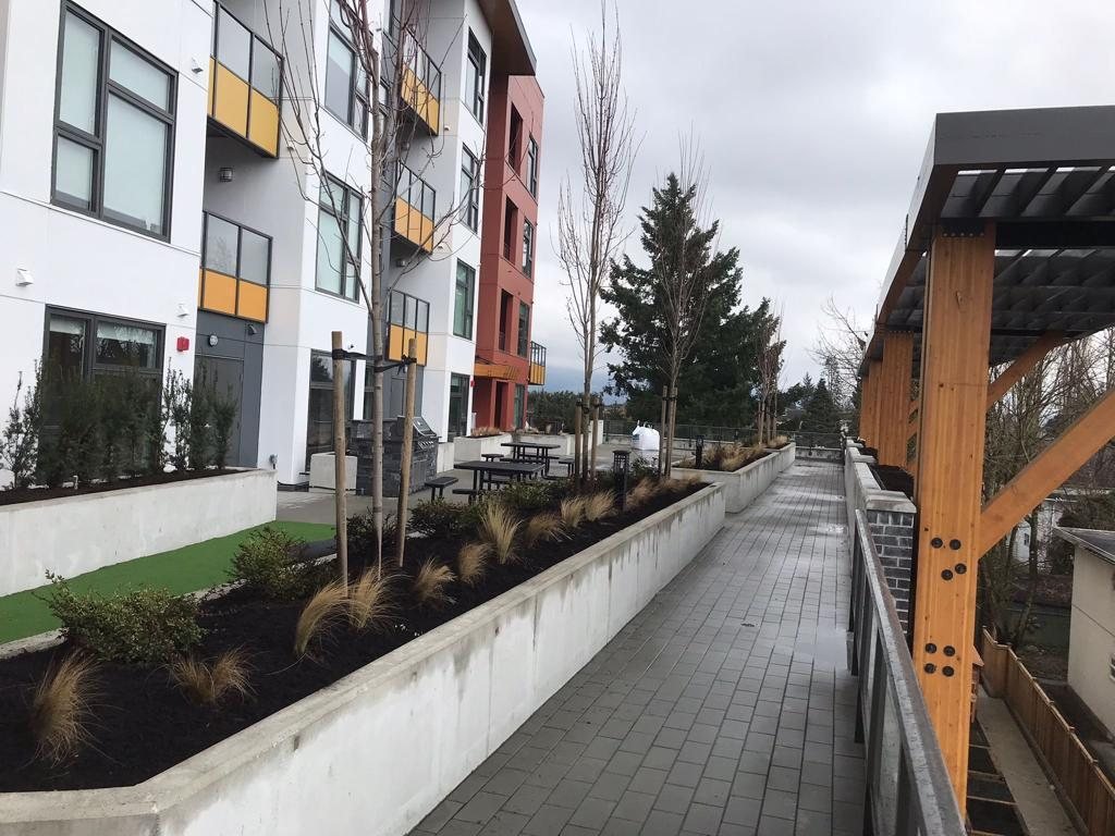 Pedestrian walkway and planted retaining edge beside a completed multi-storey building.
