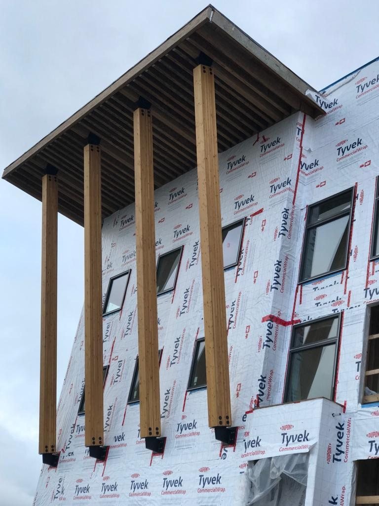 Underside of a timber canopy with exposed support members beside a wrapped wall.