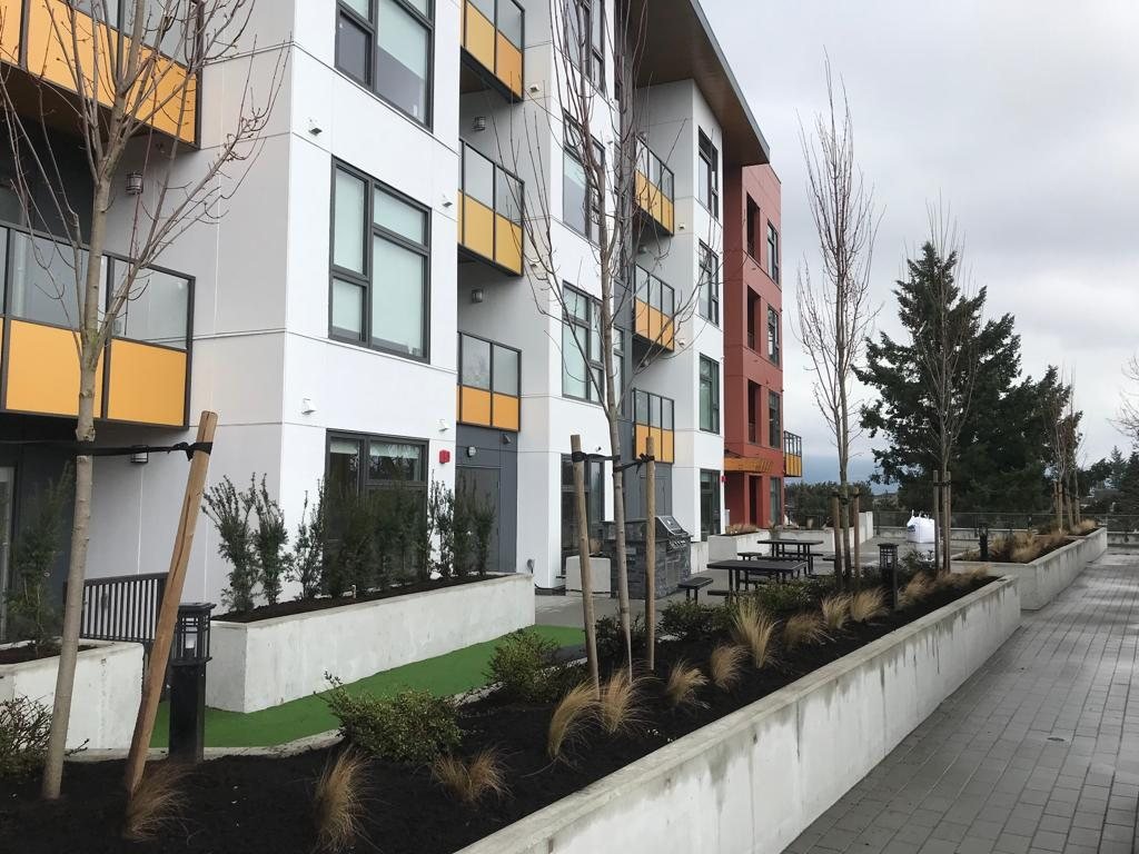 Planted walkway beside a multi-storey residential building with finished windows.