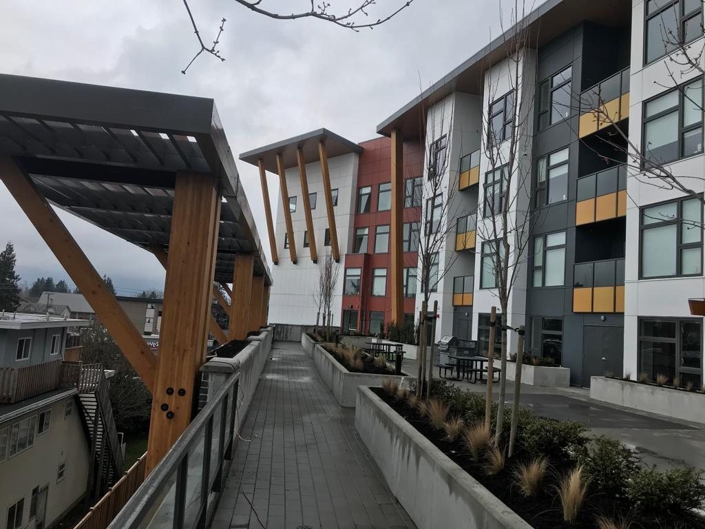 Timber canopy and pedestrian path beside multi-storey residential buildings.