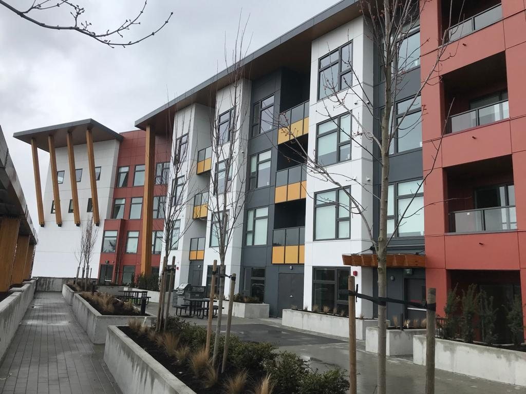 Pedestrian walkway under timber canopies between finished multi-storey buildings.