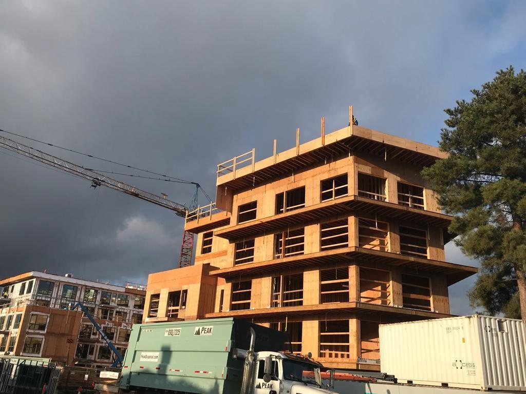 Multi-storey wood-framed building glowing in late-day sunlight.